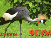 9U0A  -  CW - SSB Year: 2010 Band: 17m
