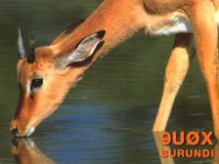 9U0X  -  CW Year: 2002 Band: 10, 12, 15, 17, 20m