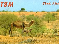TT8M  -  CW - SSB Year: 2005 Band: 12, 15, 17m