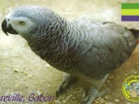 Gabon