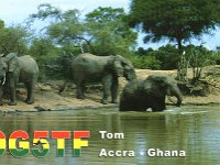 9G5TF  -  CW Year: 2005 Band: 10, 12, 15, 17, 20m