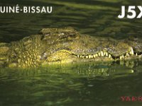 J5X  -  CW - SSB Year: 2000, 2001 Band: 10, 12, 15, 17, 20, 30m
