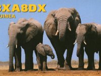 3XA8DX  -  CW Year: 2002 Band: 10, 12, 15m