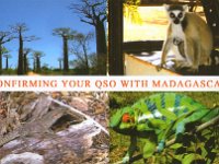 5R8GZ  -  CW Year: 2004, 2005, 2008 Band: 12, 15, 17, 20m Specifics: IOTA AF-013 mainland Madagascar