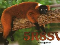 Madagascar