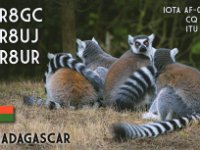 5R8UR  -  CW Year: 2016 Band: 17m Specifics: IOTA AF-057 Be (Nosy Be) island