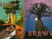 5R8WW  -  CW Year: 2010 Band: 10, 17m Specifics: IOTA AF-013 mainland Madagascar