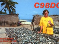 C98DC  -  SSB Year: 2002 Band: 10, 12, 15, 17, 20m Specifics: IOTA AF-072 Bazaruto island