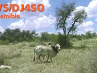 V5/DJ4SO  -  CW Year: 2006 Band: 12, 15, 17m