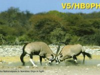 V5/HB9PHJ  -  SSB Year: 2007 Band: 17m