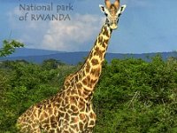 9X5RU  -  CW - SSB Year: 2023 Band: 10m