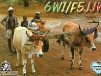 6W1/F5JJW  - SSB Year: 2001 Band: 10m