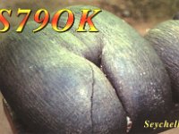 S79OK  - CW Year: 2000 Band: 12, 30m Specifics: IOTA AF-024 Mahe island & Praislin island