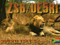 ZS6/OE5RI  -  CW Year: 2006 Band: 12m