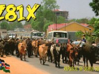 Z81X  -  CW Year: 2013 Band: 10, 12, 15, 30m