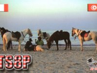 TS8P (F)  -  CW - SSB Year: 2010 Band: 15, 17, 20m Specifics: IOTA AF-083 Djerba island