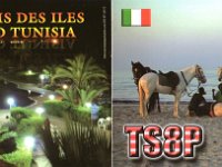 TS8P (F/B)