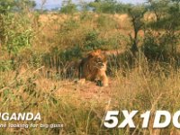 5X1DC  -  SSB Year: 2003 Band: 10, 12, 15, 17m Specifics: Bugala island (Ssese islands), Lake Victoria