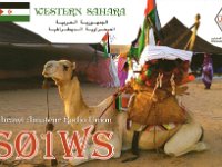 S01WS  -  CW - SSB Year: 2014, 2016, 2018 Band: 6, 10, 12, 15, 17, 20, 30, 40m Specifics: Tifariti