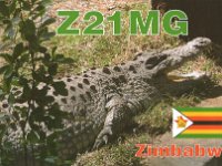 Z21MG  -  CW Year: 2015 Band: 10, 12, 15m