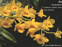E28AD  - SSB Year: 2016 Band: 20m