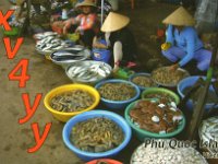 XV4YY  - CW Year: 2011 Band: 17, 20m Specifics: IOTA AS-128 Phu Quoc island
