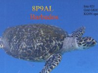 8P9AL  - CW Year: 2015 Band: 12, 17m Specifics: IOTA NA-021 mainland Barbados