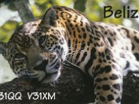 V31XM  - CW Year: 2003 Band: 15m Specifics: IOTA NA-123 Turneffe island