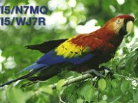 TI5/WJ7R  - CW Year: 2007 Band: 17m