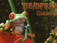 TI8/DF8AN  - CW Year: 2014 Band: 10m