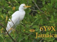 6Y9X  - CW Year: 2016 Band: 15, 17, 20m Specifics: IOTA NA-097 mainland Jamaica
