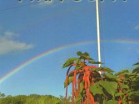 FM/F5UFX  - SSB Year: 2011 Band: 10m Specifics: IOTA NA-107 mainland Martinique