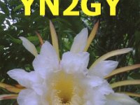 YN2GY  - CW Year: 2009, 2010 Band: 17, 20m