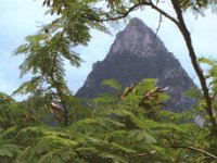 J6/K4WA  - CW Year: 2000 Band: 10m Specifics: IOTA NA-108 mainland Saint Lucia
