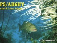VP5/AH6HY  - SSB Year: 2004 Band: 20m Specifics: IOTA NA-003 Salt island