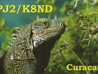 PJ2/K8ND  - CW Year: 2006 Band: 40m Specifics: IOTA SA-006 Curacao island