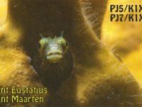 Sint Maarten, Saba, Sint Eustatius
