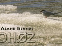 OH0Z  - SSB Year: 2018 Band: 6m Specifics: IOTA EU-002 Fasta Aland island