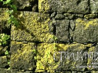 CT8/UA4WHX  - CW Year: 2017 Band: 15, 17m Specifics: IOTA EU-003 Sao Miguel island