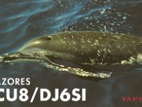 CU8/DJ6SI  - CW Year: 2001 Band: 10, 12, 15, 17, 20m Specifics: IOTA EU-089 Flores island