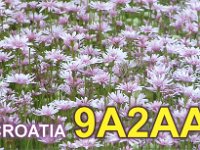 9A2AA  - SSB Year: 2005 Band: 12m
