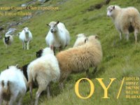 OY/DK7MCX | OY/DL6RAI  - SSB | CW Year: 2008 Band: 12, 15m | 10, 12m Specifics: IOTA EU-018 Suduroy island