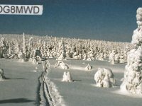 OG8MWD  - SSB Year: 2001 Band: 10m