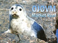 OJ0VM  - CW Year: 2011 Band: 10m Specifics: IOTA EU-053 Market Reef