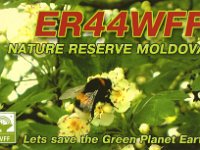 ER44WFF  - CW - SSB Year: 2010 Band: 20m