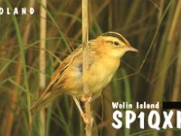 SP1QXK  - SSB Year: 2009, 2010 Band: 15, 20m Specifics: IOTA EU-132 Wolin island