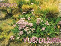 YU8/DL2JRM/p  - CW Year: 2004 Band: 10, 15m Specifics: KFOR camp - Prizren, Kosovo