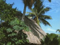 3D2UM  - SSB Year: 2002 Band: 15m Specifics: IOTA OC-016 Viti Levu island
