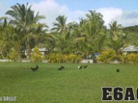 E6AC  - CW Year: 2016 Band: 17m Specifics: IOTA OC-040 mainland Niue