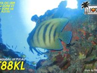 T88KL  - SSB Year: 2002 Band: 10m Specifics: IOTA OC-009 Koror island